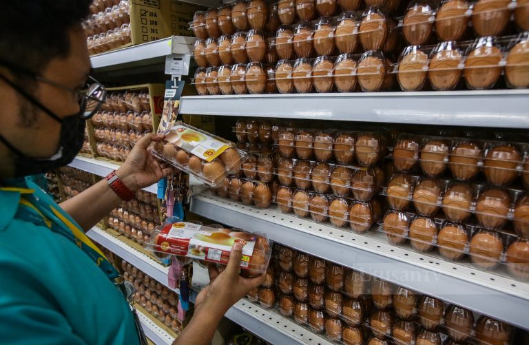 KPDNHEP nafi kartel kuasai pasaran telur ayam, sorok bekalan ketika PRU-15