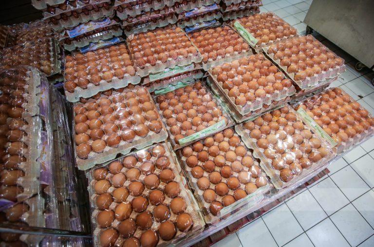 Telur oh telur! Di manakah dikau berada?