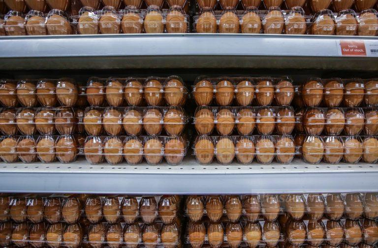 Subsidi telur ayam diteruskan hingga Jun 2023