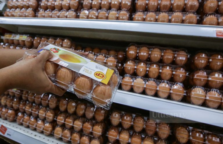 Lapor pada KPDN jika harga telur tidak berubah – Persatuan Pengguna