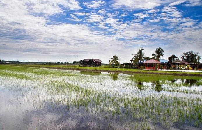 Kerajaan Pusat perlu tingkat infrastruktur kawasan MADA, mampu tingkat pengeluaran padi – Sanusi