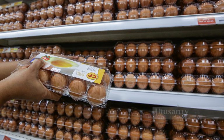 Bekalan ayam, telur kembali normal dan mencukupi bulan ini