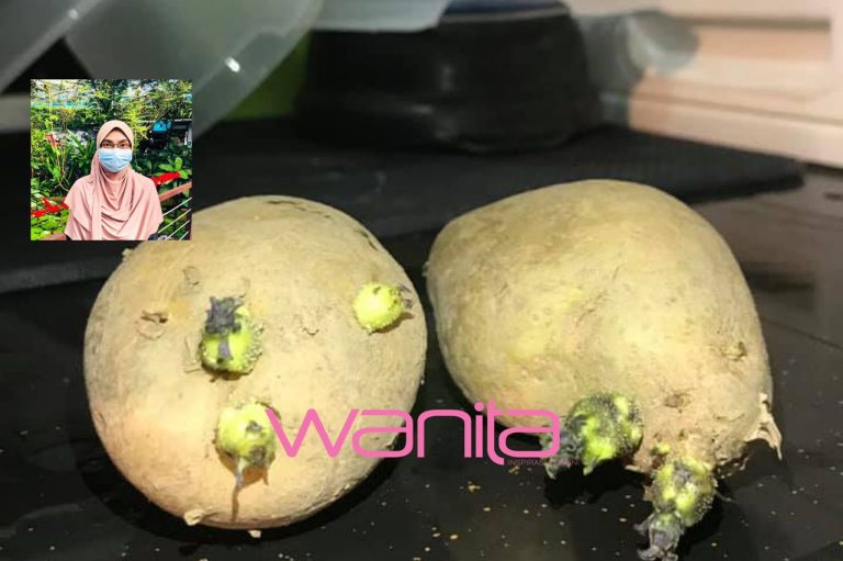 Buang kentang bertunas, jangan dimasak. Bahaya buat ibu hamil dan anak kecil