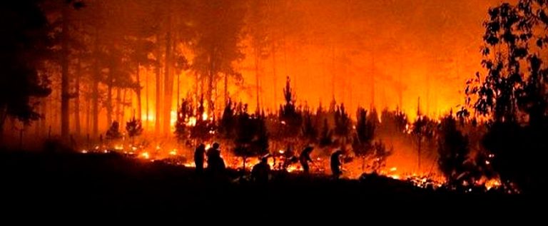 Chile bergelut mengawal kebakaran hutan, 4,400 hektar kawasan musnah setakat ini