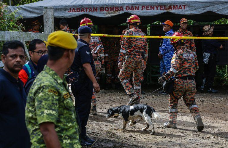Penugasan 16 anjing baharu dari UK akan bermula November – KP Bomba