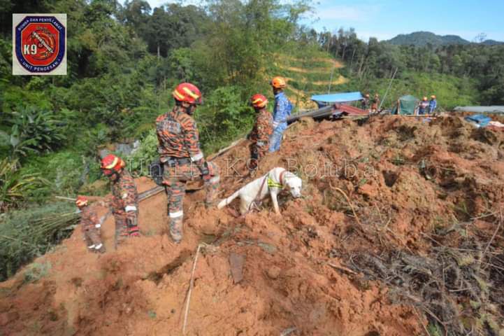 Tanah runtuh Batang Kali: Mayat ke-16 selesai dibedah siasat