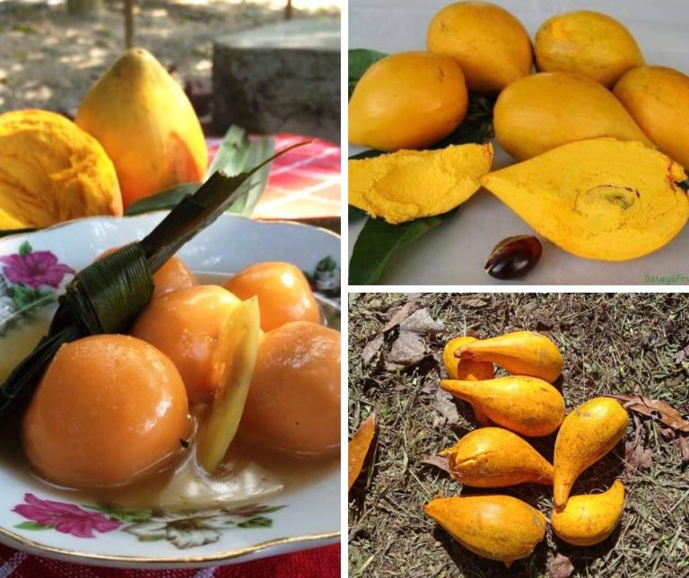 Kuih Ee Resipi Tradisional,Baba Nyonya Melaka. Intinya Dari Buah Kuning Telur Yang Kini Hampir Pupus.