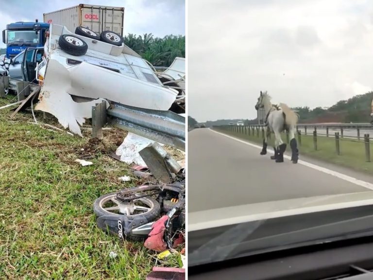 Kuda putih berlari di LPT2 kerana terkejut kemalangan – polis