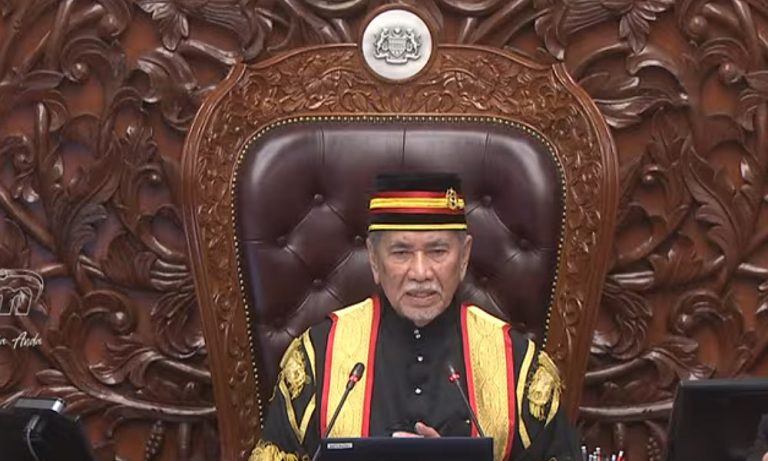 Wan Junaidi dilantik Yang Dipertua Dewan Negara baharu