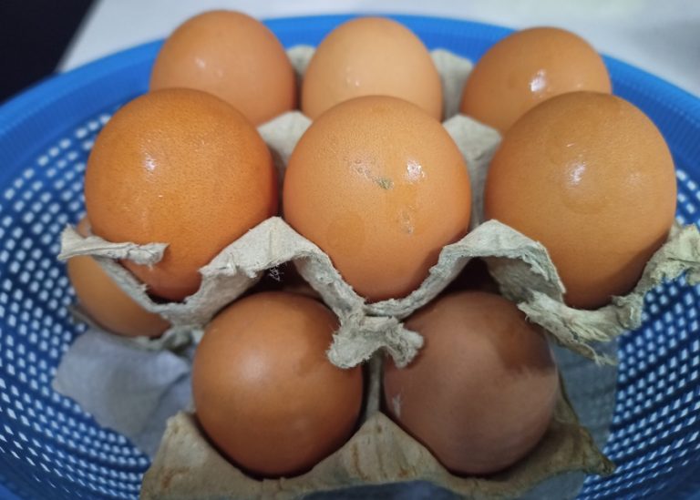 menjaga kebersihan halalan toyyiban