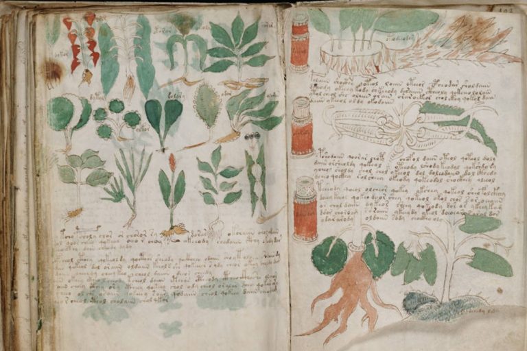 Manuskrip Voynich, tulisan paling misteri di dunia yang masih gagal dirungkai