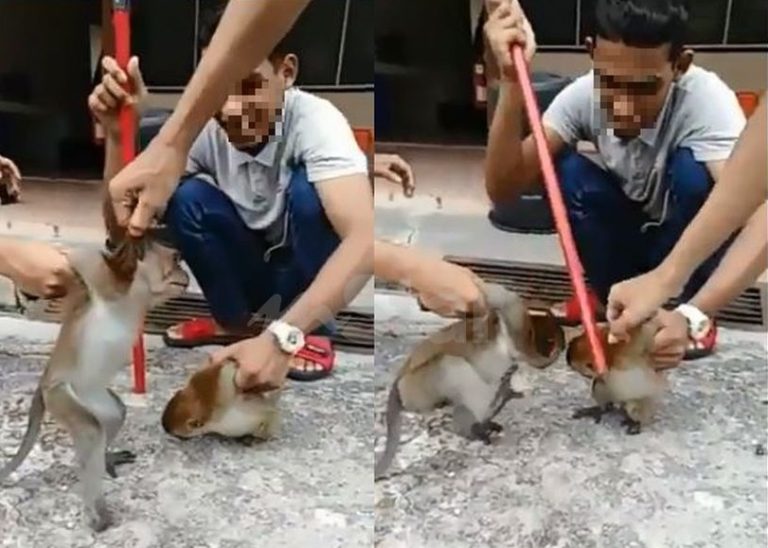 orang celaka tiada perasaan kasih sayang