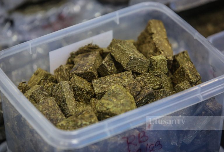 Ketum dan ganja hanya ada sedikit manfaat, mudaratnya lebih besar – Dr Zaki Zamani