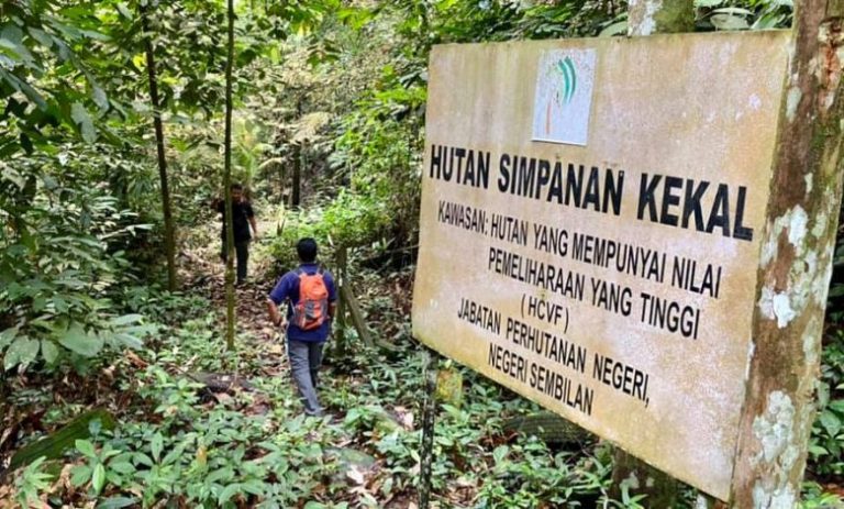 Jabatan Perhutanan diminta pantau aktiviti pembalakan di Hutan Simpan Galla
