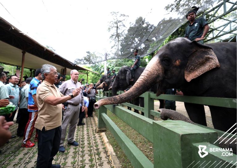 Al-Sultan Abdullah, Putera Albert II lawat pusat konservasi Harimau Malaya, gajah