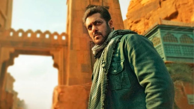 Selepas Shah Rukh Khan, kini peminat Salman Khan pula bakar mercun dalam pawagam akibat teruja tonton Tiger 3