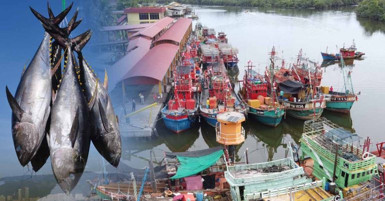 Perubahan iklim, pengasidan laut ‘pembunuh senyap berkembar’ industri perikanan negara