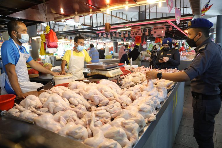 Langkah apungan harga ayam tawar harga kompetitif kepada pengguna