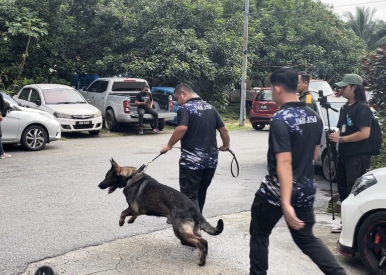 Kes bunuh Zayn Rayyan: Anjing K9 dikerah ke Blok R, Apartmen Idaman