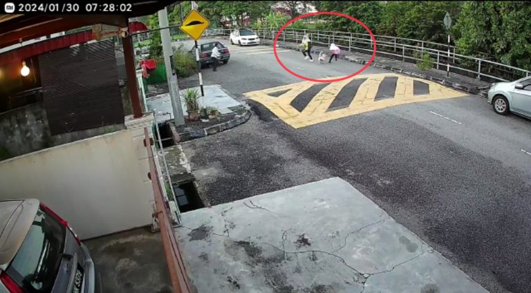 Pemilik anjing serang, gigit murid sekolah dikompaun – MBSP