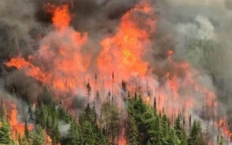 Monsun Barat Daya: Panggilan kebakaran terbuka di 4 negeri meningkat