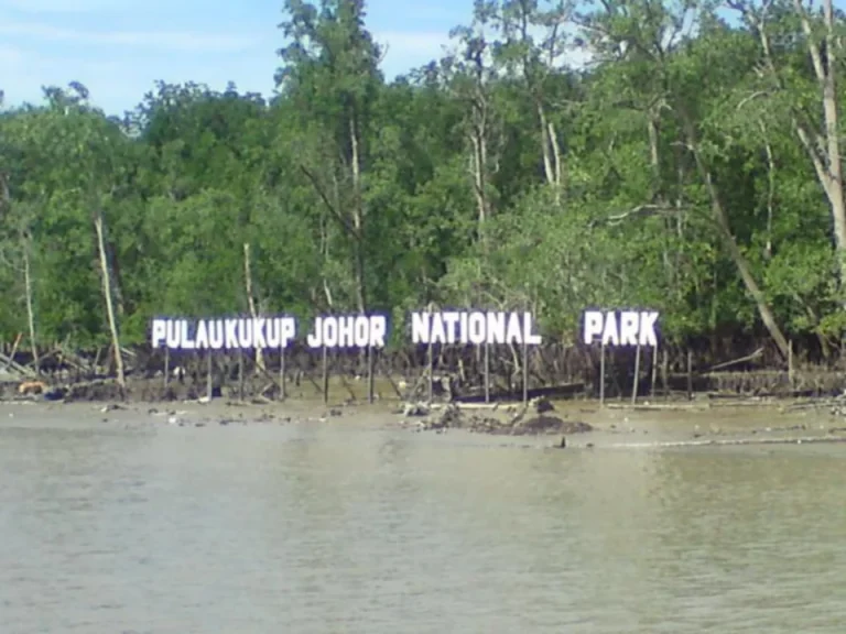 Pulau Kukup akan dibuka semula kepada pengunjung selewat-lewatnya Mei – EXCO