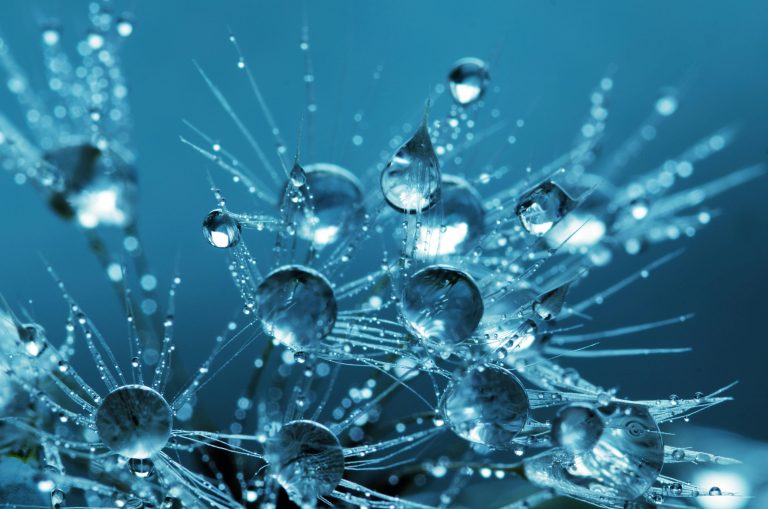VOL II : DNA – Bagaimana Profil Genetik Berfungsi