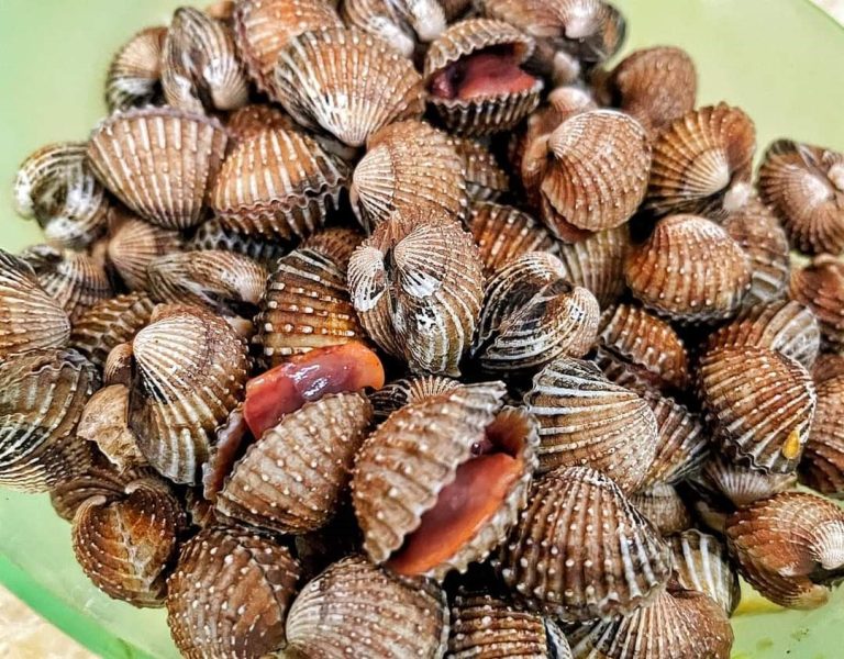 Jenis Kerang dan Tip Memilih Makanan Laut Bercengkerang Yang Segar
