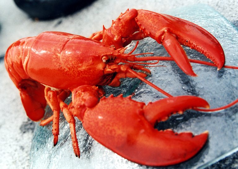 ‘Sumpahan manusia ketam’. Satu dalam 90 ribu kelahiran