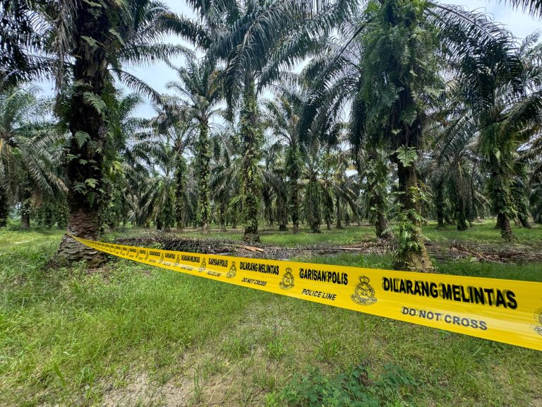Pembunuhan Farah Kartini: Polis selesai ambil keterangan pekerja kebun ubi