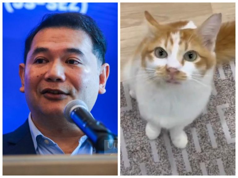 Selepas lima hari, Muffin akhirnya pulang ke rumah – Rafizi