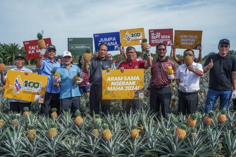 Nanas sumber kekayaan baharu negara – Mohamad Sabu