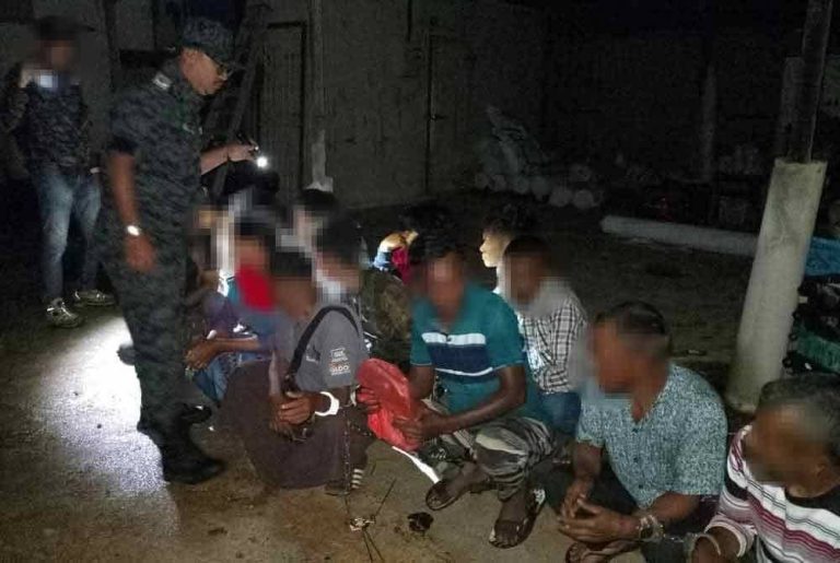Imigresen gempur Tanah Tinggi Loging, tahan 86 pendatang asing