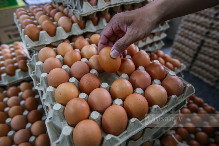Penyasaran subsidi tak jejas bekalan telur, kekal stabil dan mencukupi – Mohamad