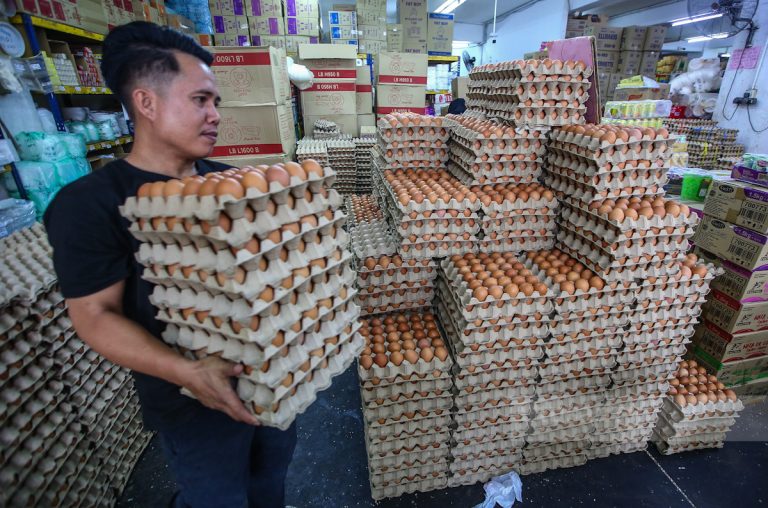 Penamatan subsidi telur ayam: KPDN, KPKM akan terus buat pemantauan