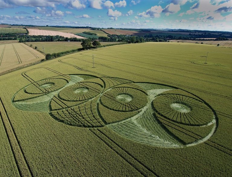 Crop Circles – Misteri bulatan geometrik ganjil yang sering dikaitkan dengan UFO