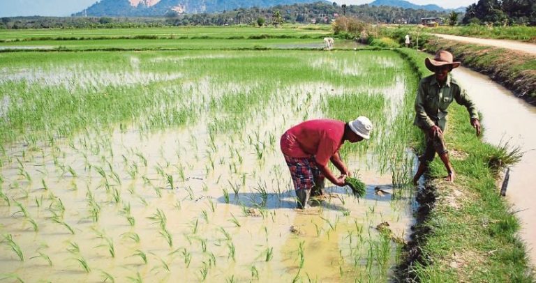 Himpunan 1,000 pesawah tukar lokasi ke pekarangan KPKM