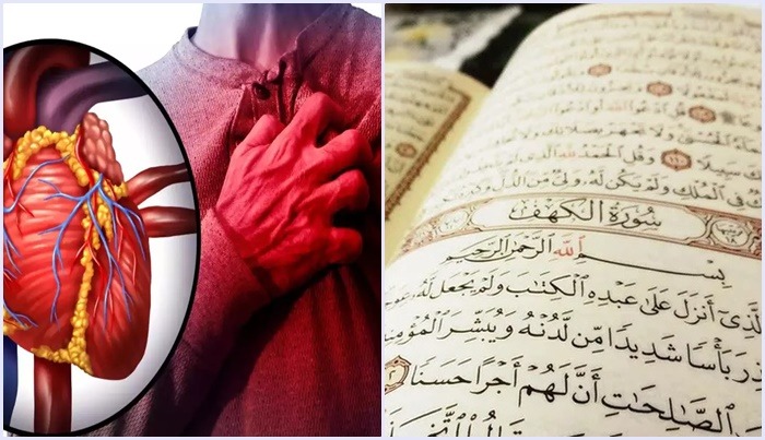 jantung organ yang berfikir