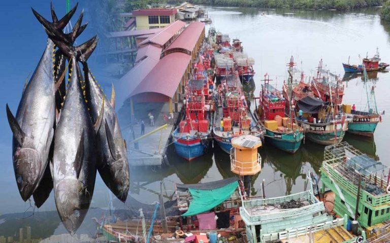 Hasil perikanan laut cecah 1.42 juta tan metrik tahun lepas – Jabatan Perikanan