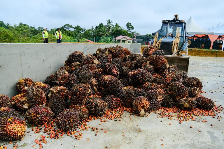 PMS sediakan ruang penyelesaian adil kepada peneroka FELDA