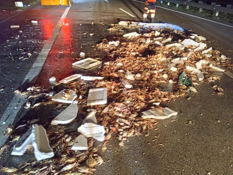 Ketam bertaburan atas jalan selepas kemalangan dua lori di LPT2