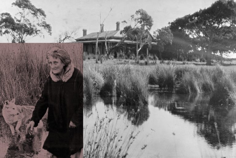 Lady of the Swamp | Misteri kehilangan yang tidak pernah terungkai