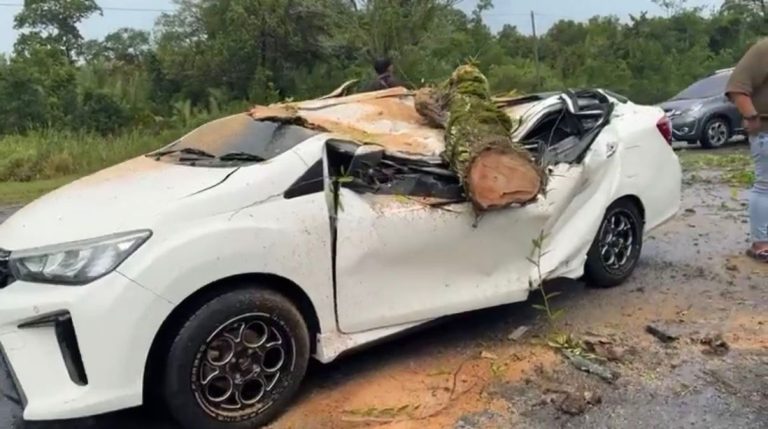 Lelaki cedera selepas Perodua Bezza dihempap pokok tumbang di Kuching