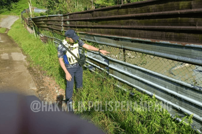 Video tular: Ladang ternakan buaya di Penampang beroperasi secara sah – Polis