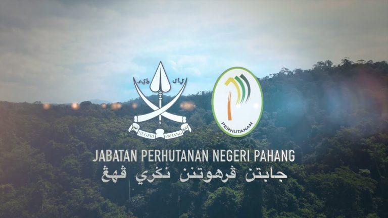 Dakwaan pembalakan haram di Hutan Simpan Lentang tidak benar, tanah berstatus persendirian