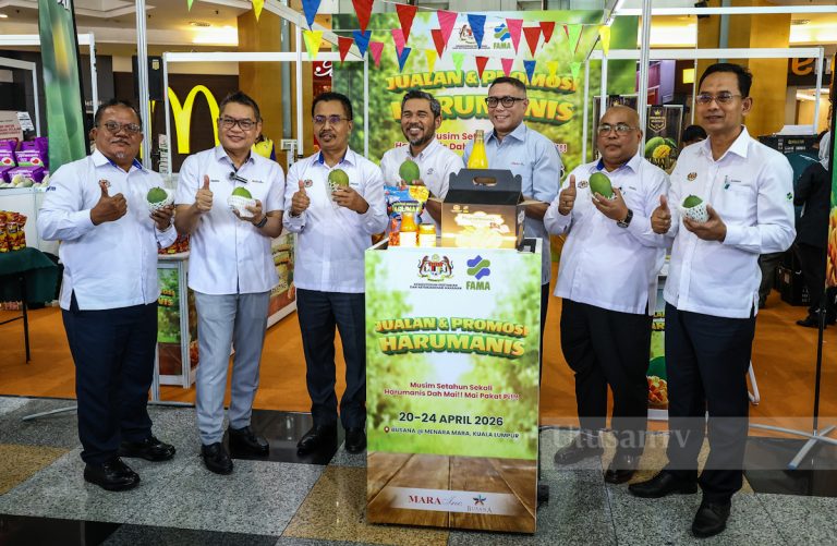 FAMA Perkukuh Pemasaran Harumanis Bekalan Terus dari Ladang ke Pengguna