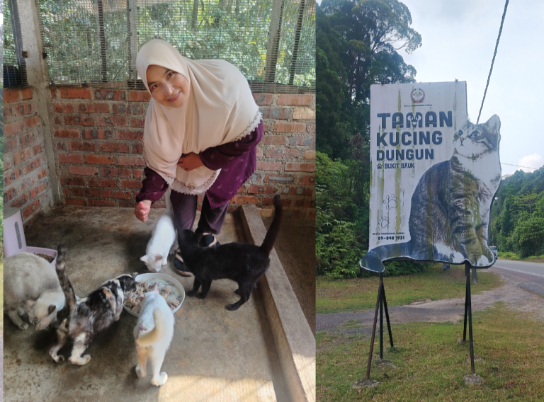 Dibuang tanpa belas… ‘Ayam rebus itulah ‘Hari Raya’ buat mereka’