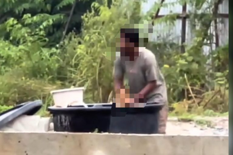 Lelaki ditahan aniaya anak anjing, rendam dalam tangki berisi air