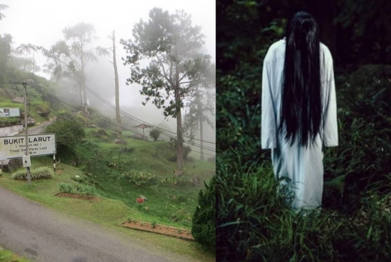 Pontianak menjerit di Bukit Larut… Minta tolong atau panggil mangsa?