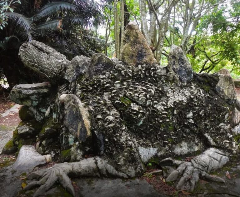 Tasik Taiping menyimpan rahsia… ‘Batu Buaya’ jadi saksi aktiviti songsang?